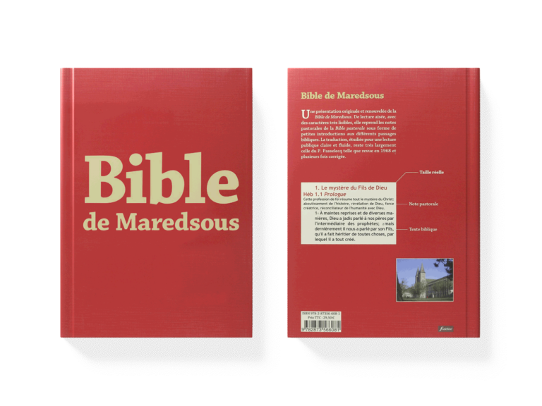 Abbayes en France Trésors de lHistoire et de lArchitecture