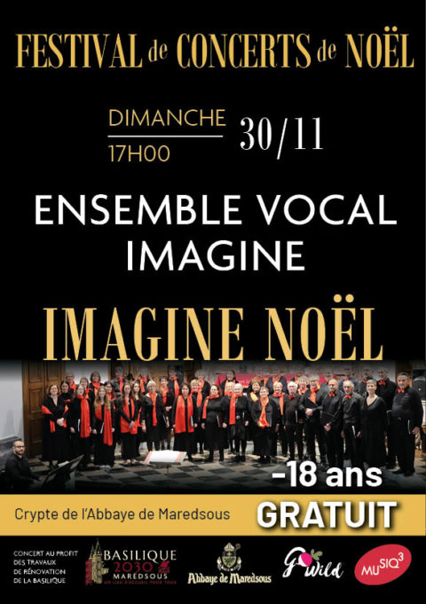 Concert de Noël 2025 ( 30/11 ) Ticket gratuit étudiant - 18ans